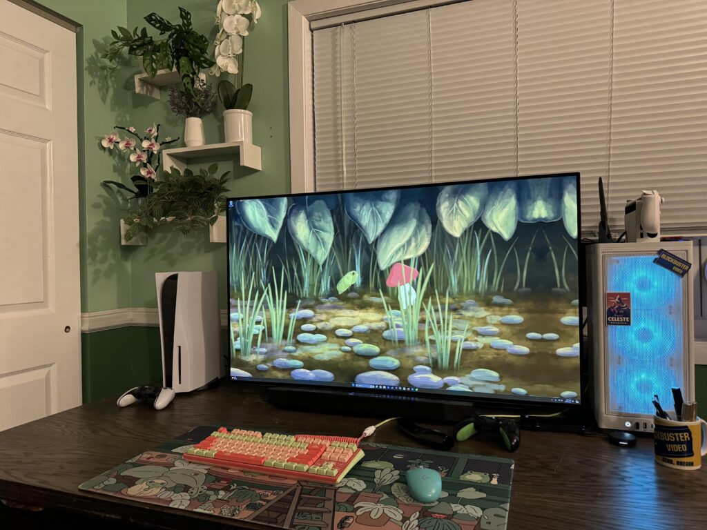 Improved my set up with plants 😌
