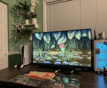 Improved my set up with plants 😌