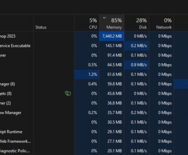 High Ram usage