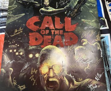 I think I hit the jackpot, found these 3 Black Ops Call Of The Dead posters today at the flea market