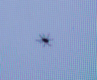 Tiny spider inside of monitor. Is there anything I can do?