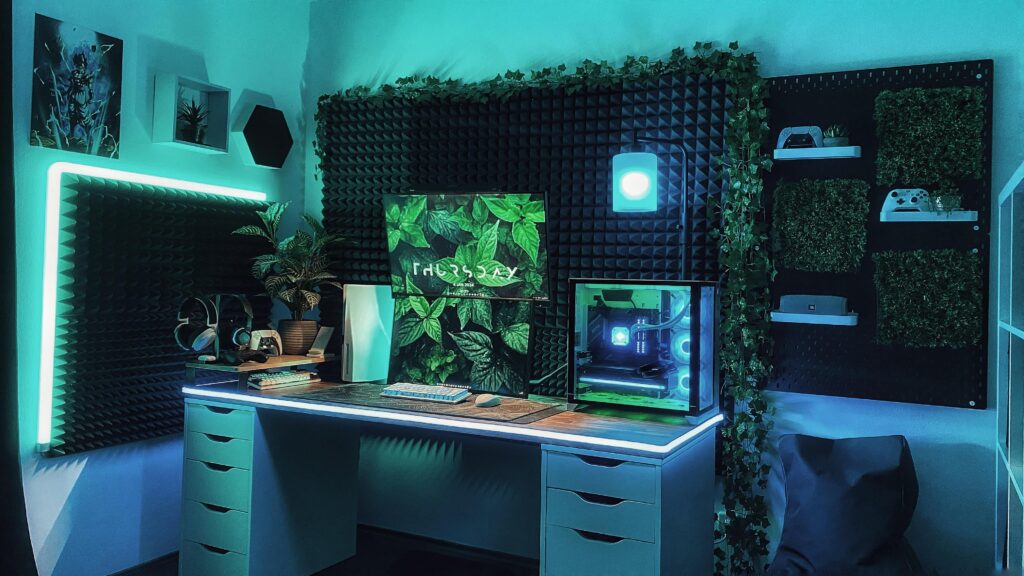 My jungle setup