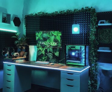 My jungle setup