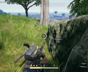 Chicken Dinner Time
