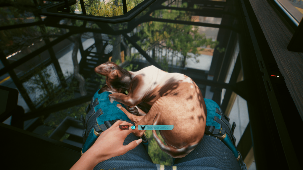 Does that mean I won't be able to play anymore? I can't disturb the cat's peace