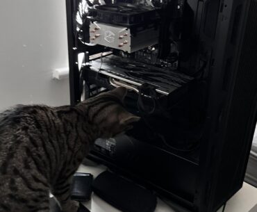 A very helpful technician (she bit me for holding the light wrong)