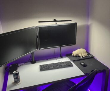 Need help livening up my work from home closet station. (Not ready to come out of the closet)