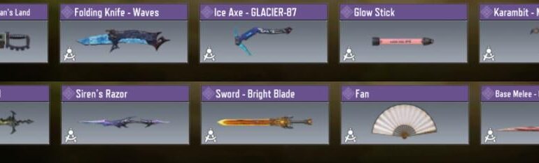 If I could change one thing in the game, it would be to delete the base melee category or make it so that you could put skins on these weapons.