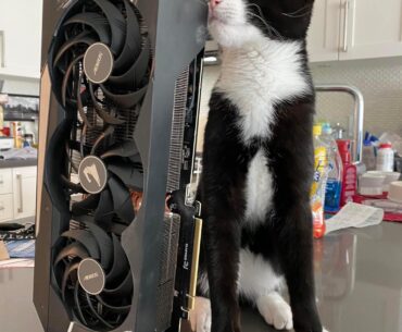 Riddle me this, how is a graphics card like a kitty cat?