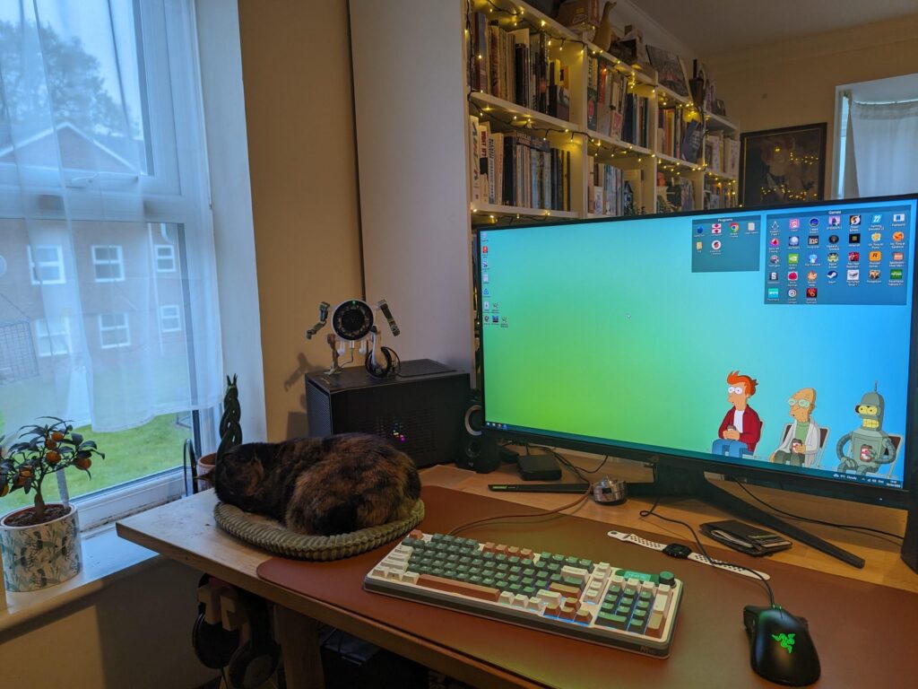 My cat ft. computer.