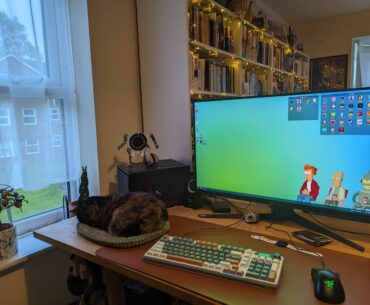 My cat ft. computer.