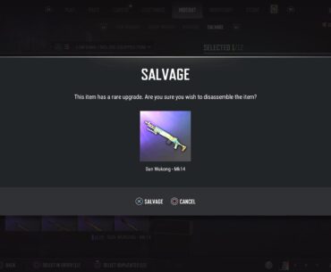 What is this about? Rare upgrade? It’s not a battle stat skin or progressive.