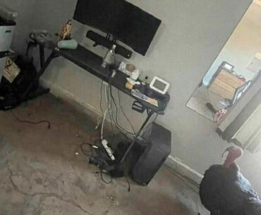 rate my set up (ignore my cat)
