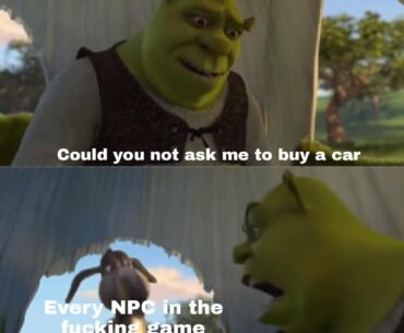 Please stop it NPC's