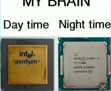 About your brain ?