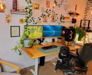 Where I do my wizarding