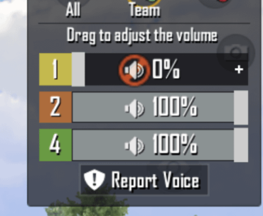 This randomly happens in game.