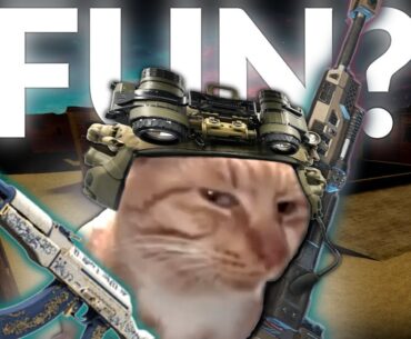 Actually Having Fun Playing Competitive FPS Games :)