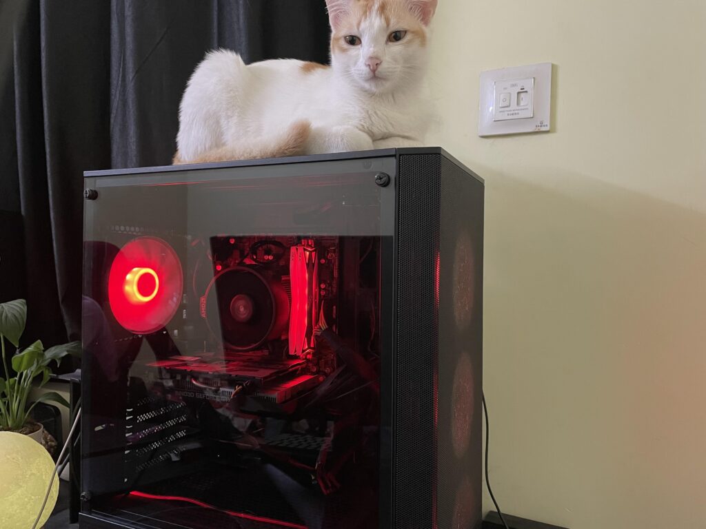 New case! Now new bed for cats.