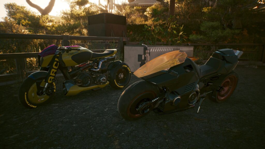 Which one you picking?