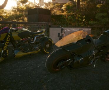Which one you picking?