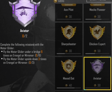 Glider achievement Aviator