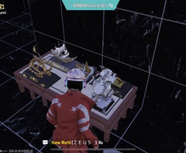 Home display items