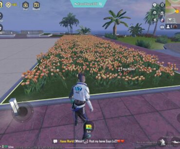 Did i just spent 20k for a decoration?