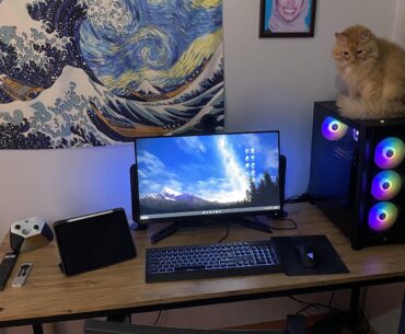 Got my first paycheck, looking for widescreen monitors, any recommendations?