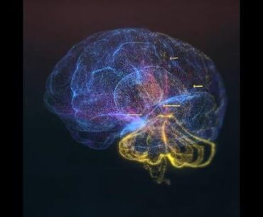 A merc inserted a suspicious biochip into her head. This is what happened to her brain.