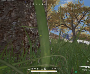 Chicken Dinner