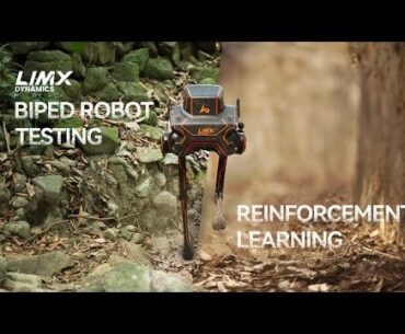 LimX Dynamics' bipedal robot shrugs off backwoods beatdown