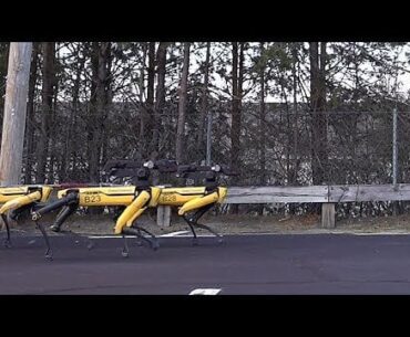 Robot dogs be gettin' husky