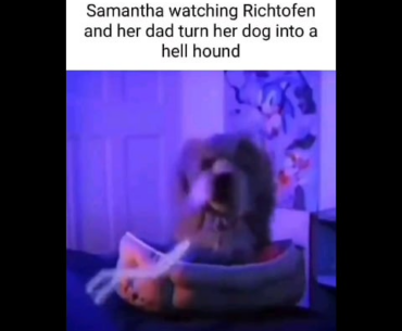 Why would Richtofen do this? Is he stupid?