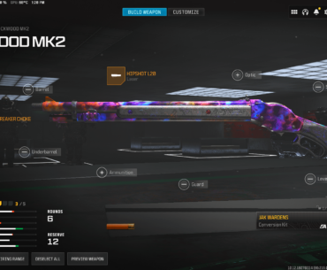 New MK2 Akimbo is broken, here's the build. Fire them individually to 2 shot everything