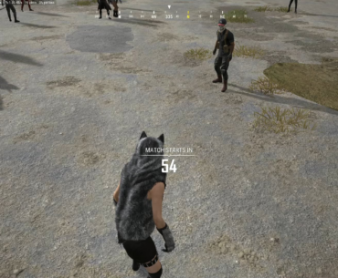 PS 5 bug