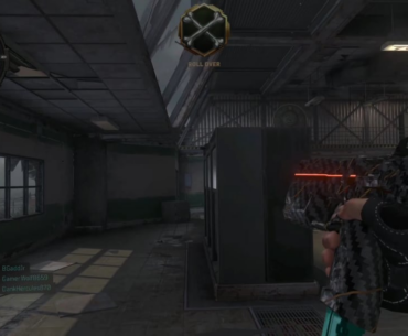 I didn't know the dog could climb up there!