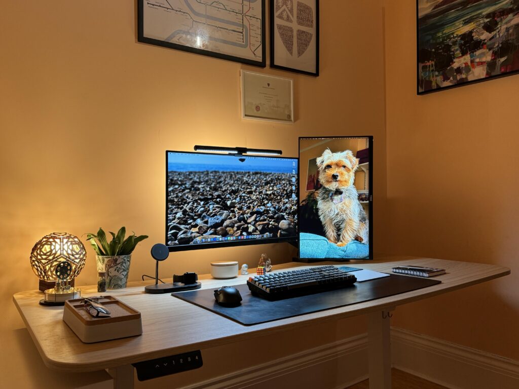 New wfh/coding setup after moving house