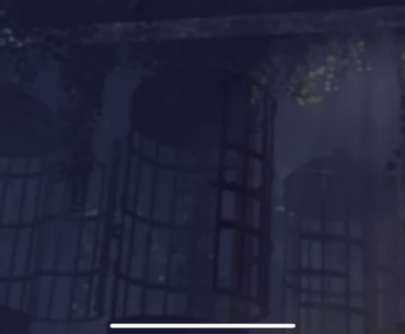 Weirdest Glitch in ZNS history.