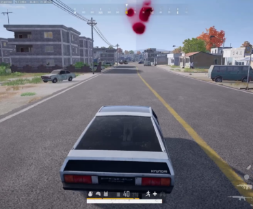 Roadkill