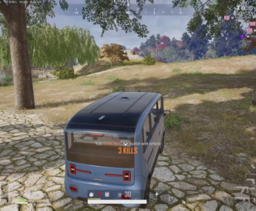 Pico bus terrorist