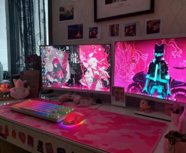 My fiancées PC setup :3