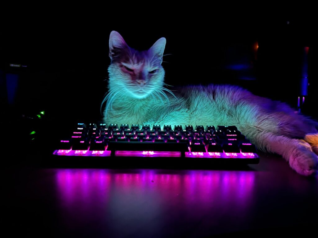 Cats and RGB…