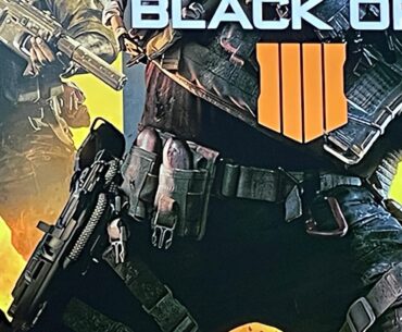 What are these in his holsters