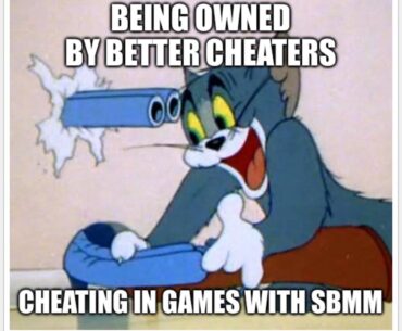 Never understood cheating in games with skill based matchmaking