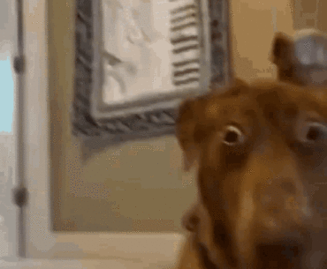 My V looking at Jackie after watching Yorinobu kill his dad