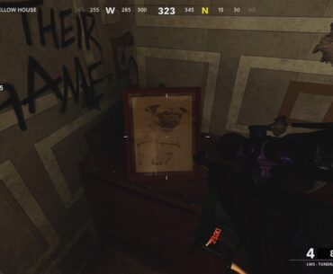 Pug pictures spotted, had anyone else seen this?