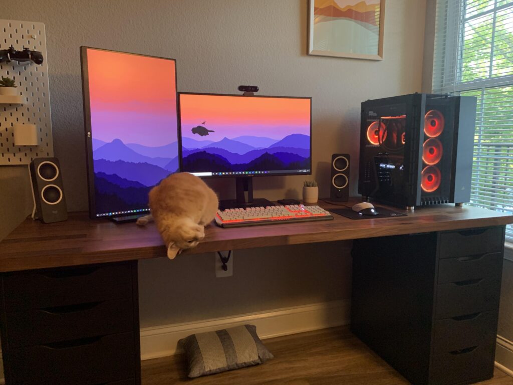 First battle station I think the cat approves