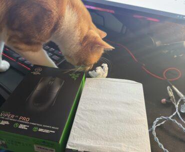 Amazon delivered me two razer viper v3 pro