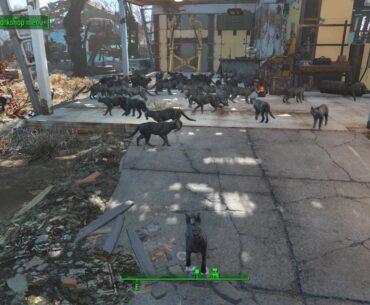 Slowly growing my post-apocalyptic catopia